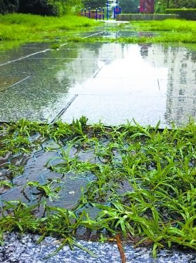 雨水收集利用：適用條件有哪些？利用的方式了解嗎？